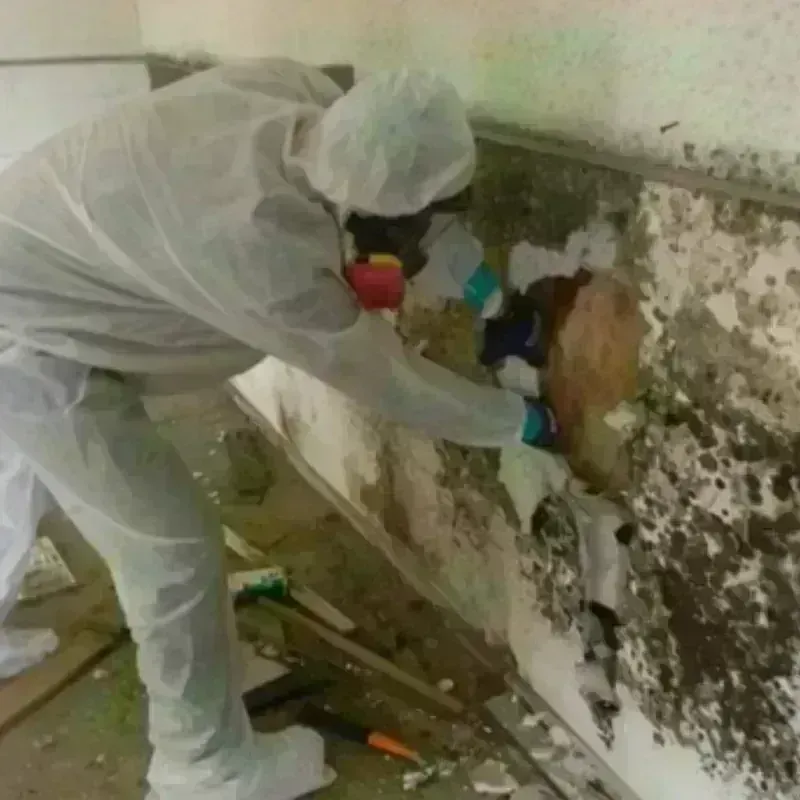 Mold Remediation and Removal in Berlin, NH